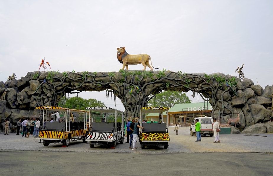 Jungle Safari